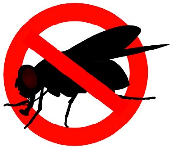 Использование отпугивателя — гораздо более простой, эффективный и гуманный способ избавиться от надоедливых мух, нежели регулярная "охота" на них с мухобойкой
