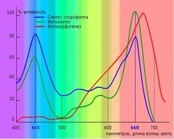 Влияние спектра света на рост растений