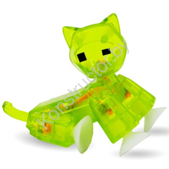 Cat-Clear-Lime-1
