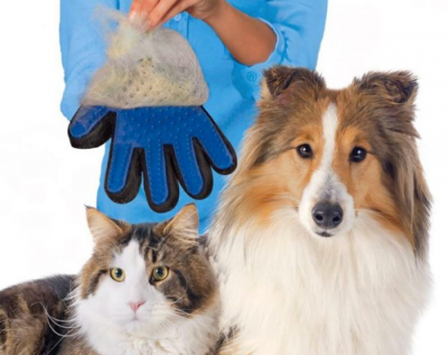 Расческа для животных As Seen On TV True Touch Перчатка для животных. Фото 1 в описании