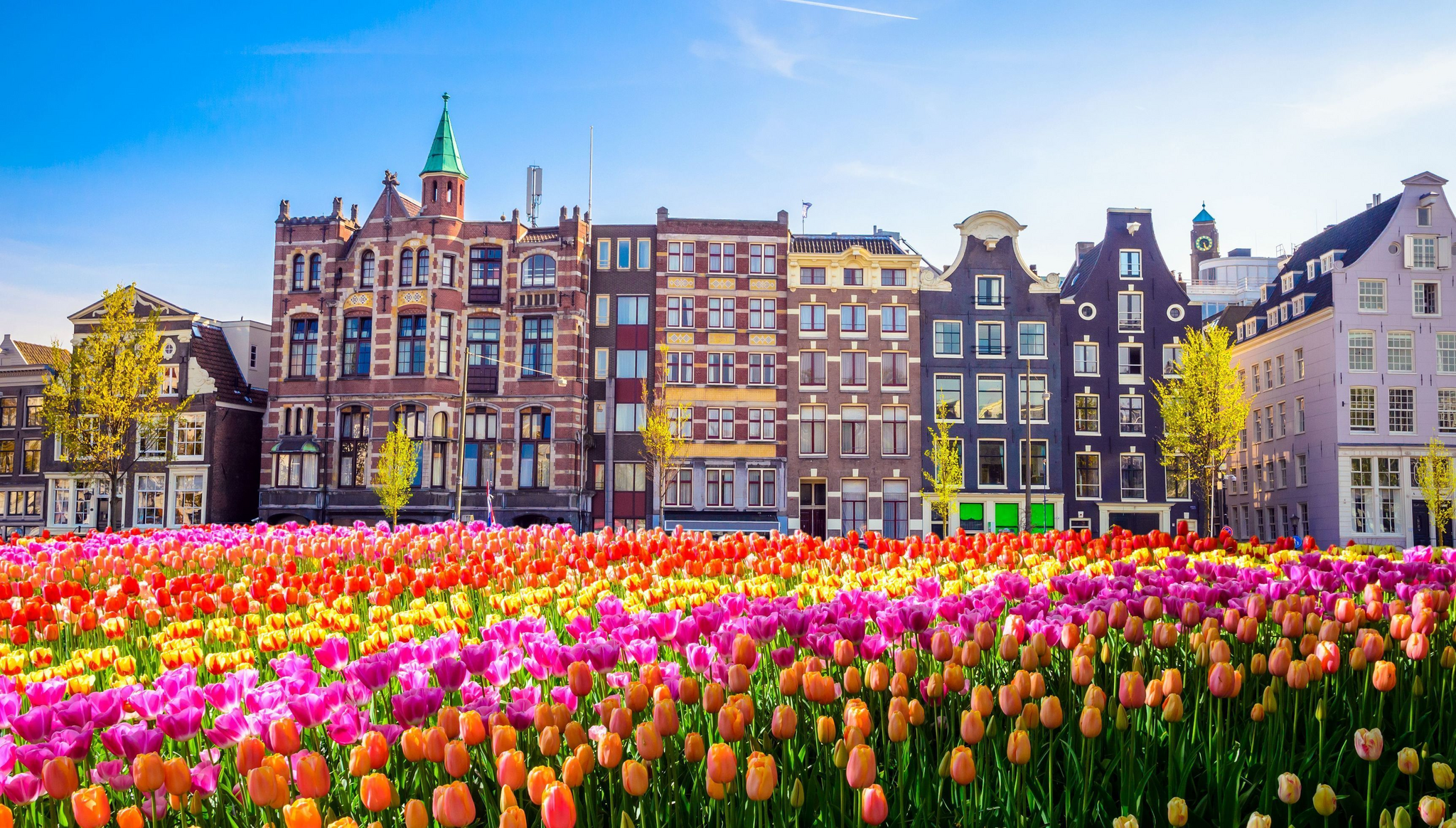 Амстердам: город каналов, музеев, тюльпанов и велосипедистов | Пикабу